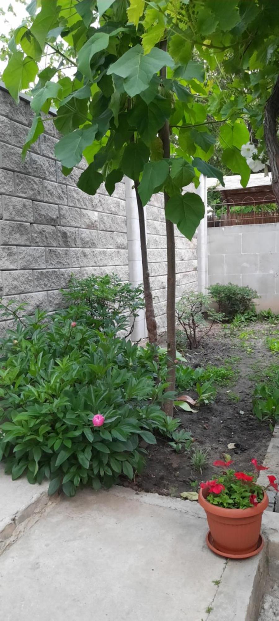 Guest House Odessa Quarto foto